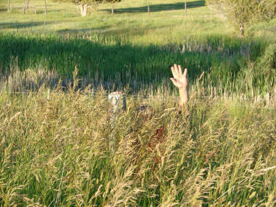 Holistic Grazing Management